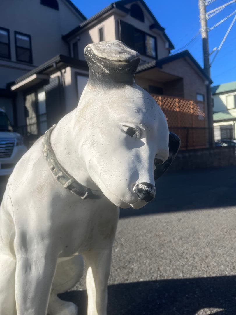 希少！Victor 犬　ニッパー君 当時物店頭用 約70cm