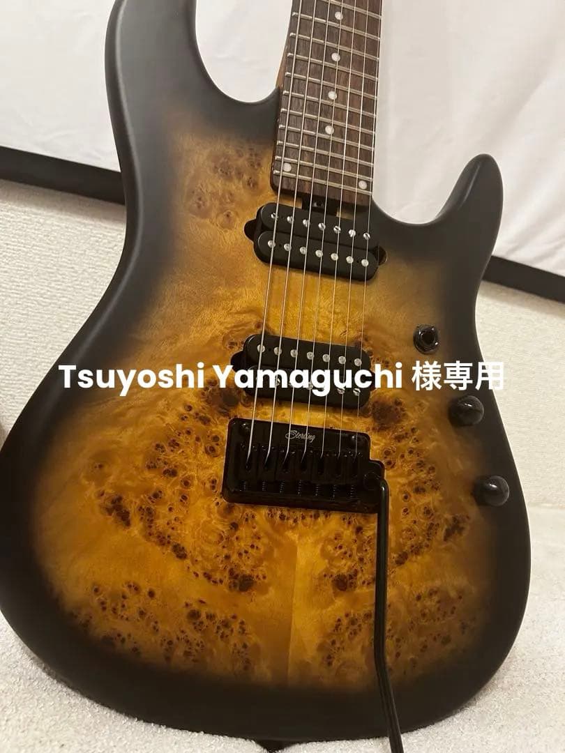 ギター Tsuyoshi Yamaguchi Richardson7