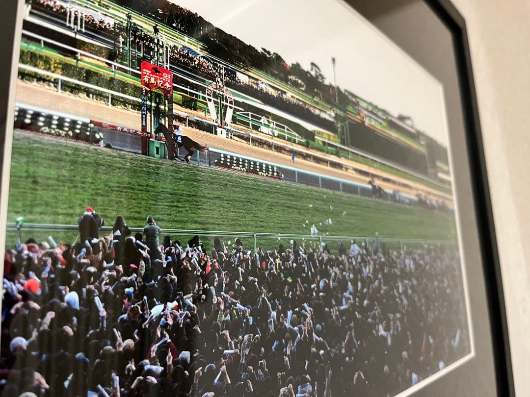 オルフェーヴル 有馬記念 パネル