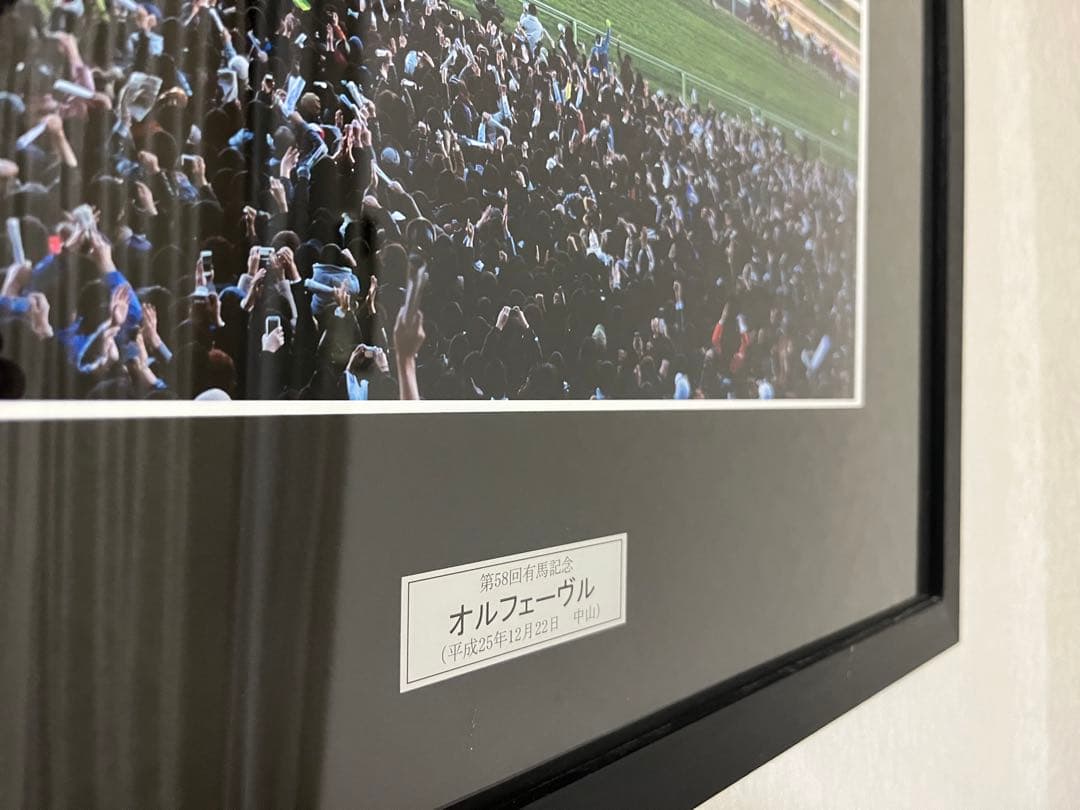 オルフェーヴル 有馬記念 パネル
