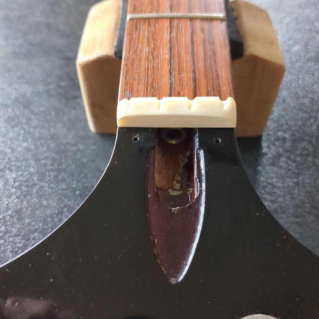 ベース Orville Thunder Bird