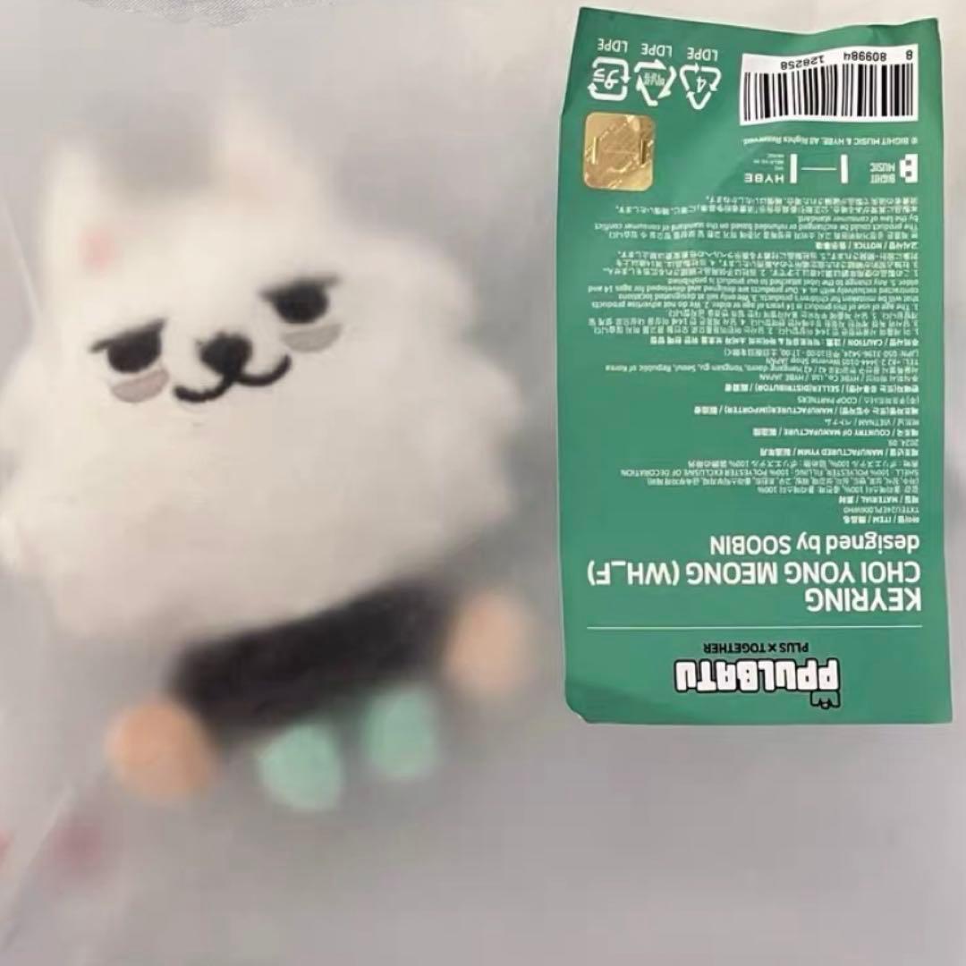 ヨンモン txt プルバトゥ キーリング