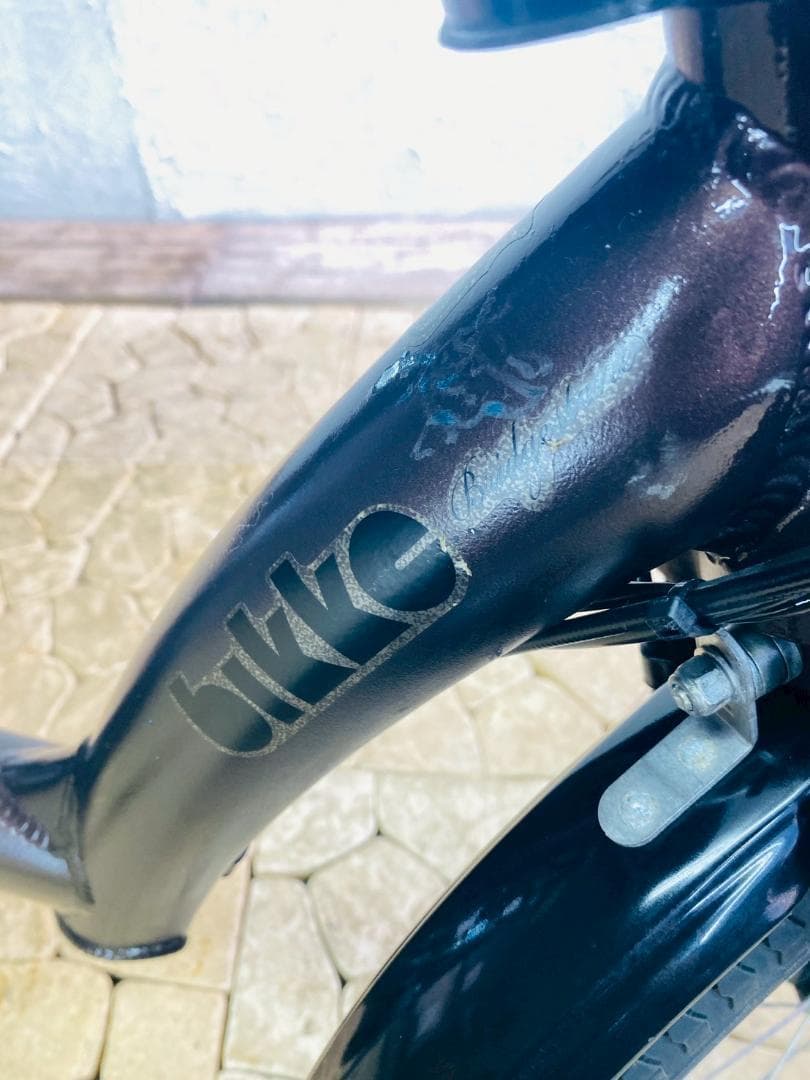 【全国送料無料】　新品部品 子供乗せ対応 12Ah　ビッケ　GC　電動自転車