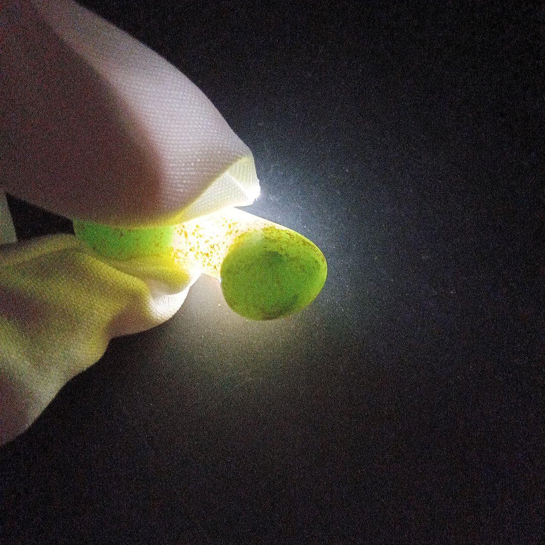 翡翠勾玉大和王権古墳時代 勾玉 コの字勾玉 美麗勾玉 頸飾り勾玉