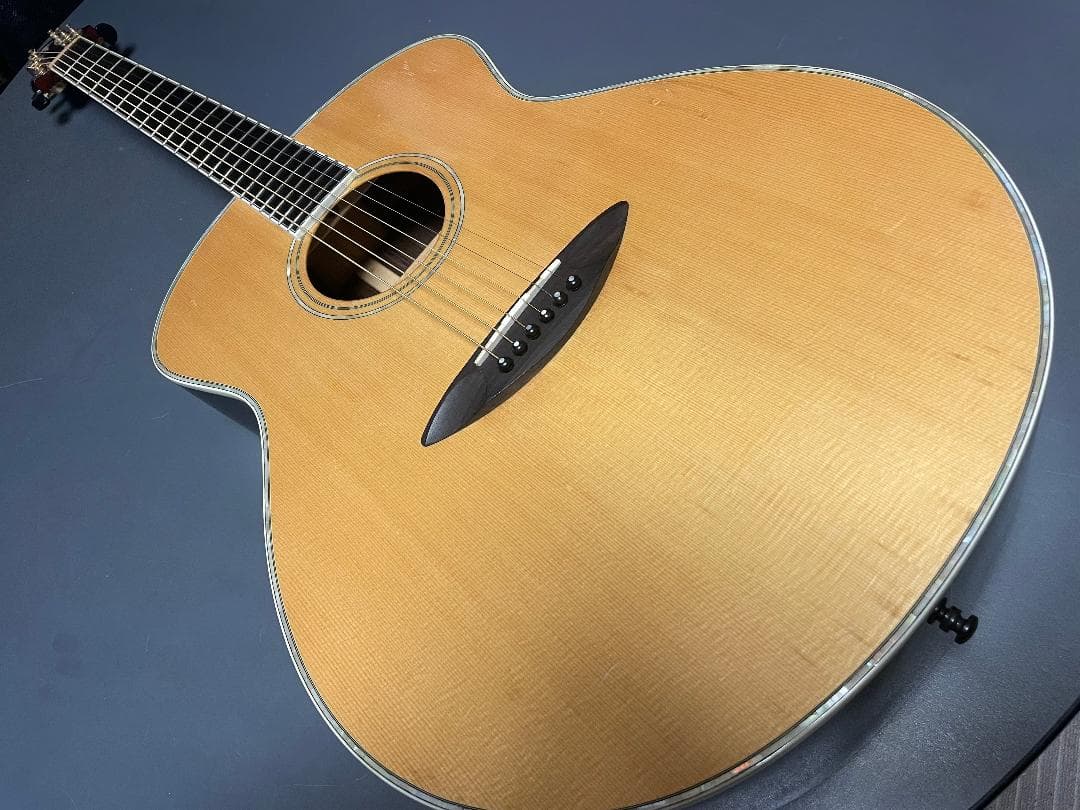 A0-2S オール単板