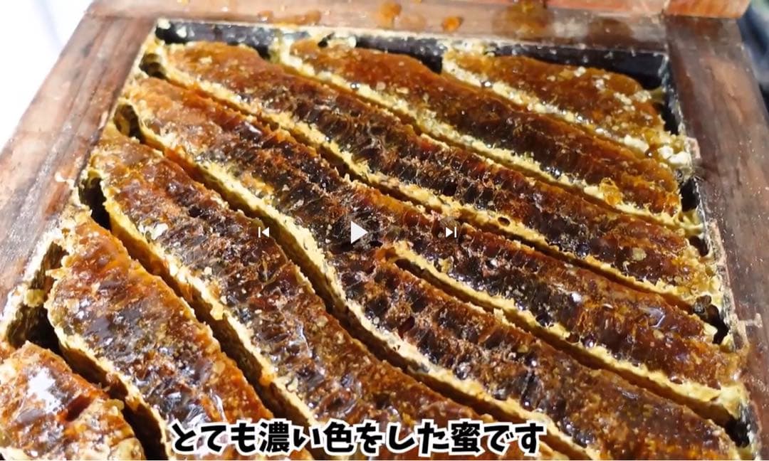 日本ミツバチ純粋垂蜜　440g6個