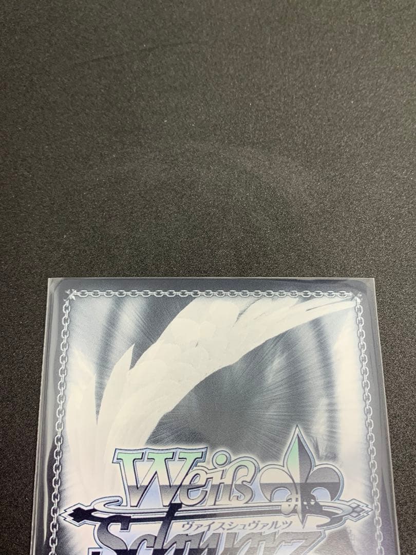 WS 当たり前の日常　麻衣　SP ヴァイスシュバルツ　青ブタ