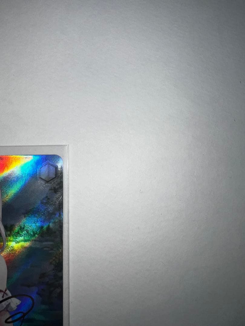 ヴァイスシュヴァルツ　精精神的露出狂　アーリャ SP サイン入り