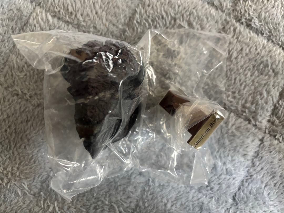 ハンティングトロフィー　シークレット　エゾシカ　ヘラジカ　ドールシープ　骨格標本