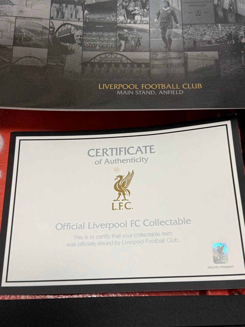 【限定】リバプールFC メインスタンド 233 【希少】