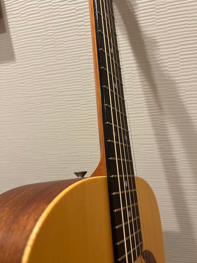 初期 Taylor BABY 301 USA製 純正ハードケース付