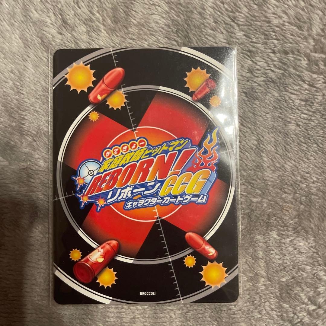 家庭教師ヒットマンREBORN!CCG沢田綱吉