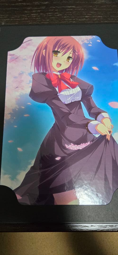 男の娘ゲームキャンペーン　メモリアルポートレート　アニメイト特典付き