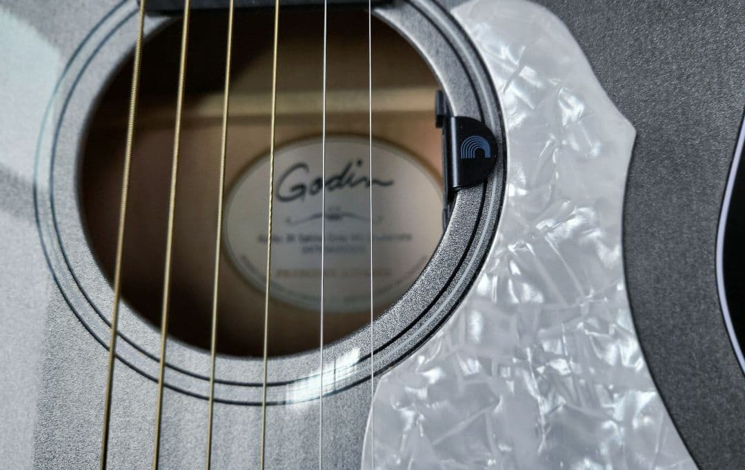 ギター Godin Rialto JR Satina Gray