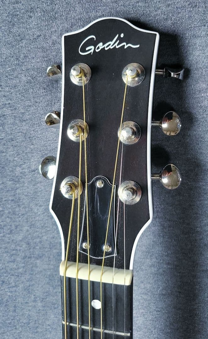 ギター Godin Rialto JR Satina Gray