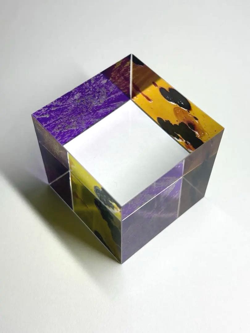 カビ　アート作品　アクリル