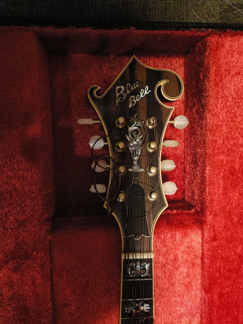 Blue Bee F-12 マンドリン Fタイプハードケース付ジャンク扱い現状品