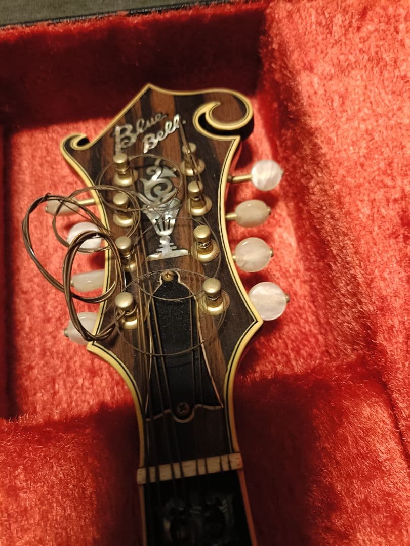 Blue Bee F-12 マンドリン Fタイプハードケース付ジャンク扱い現状品