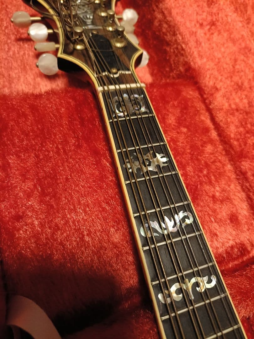 Blue Bee F-12 マンドリン Fタイプハードケース付ジャンク扱い現状品