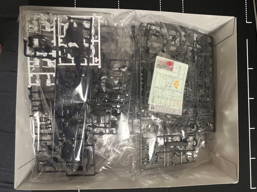 BANDAI MG MS-06R-1A ザク　Ver.2.0