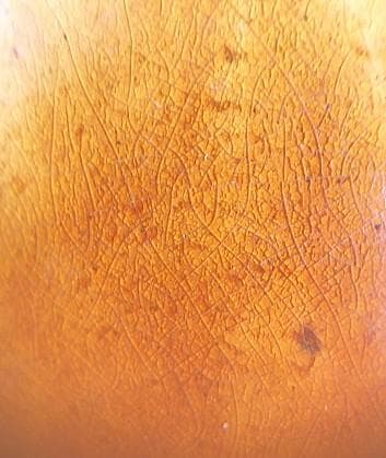 【 三彩人物俑 】 17～18世紀　大型陶俑　美品　56ｃｍ　誂え箱付き