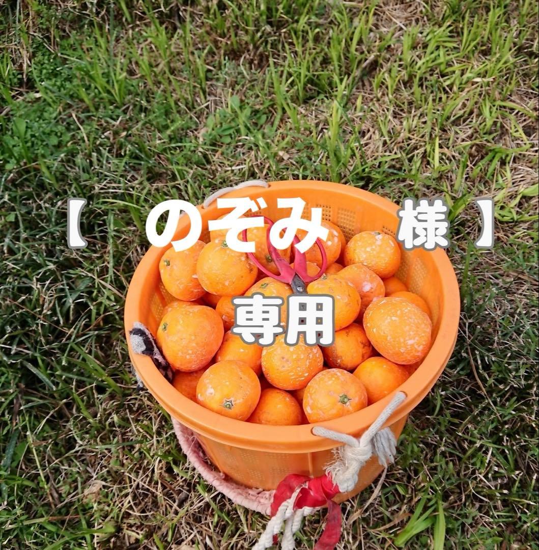 【のぞみ　様】専用