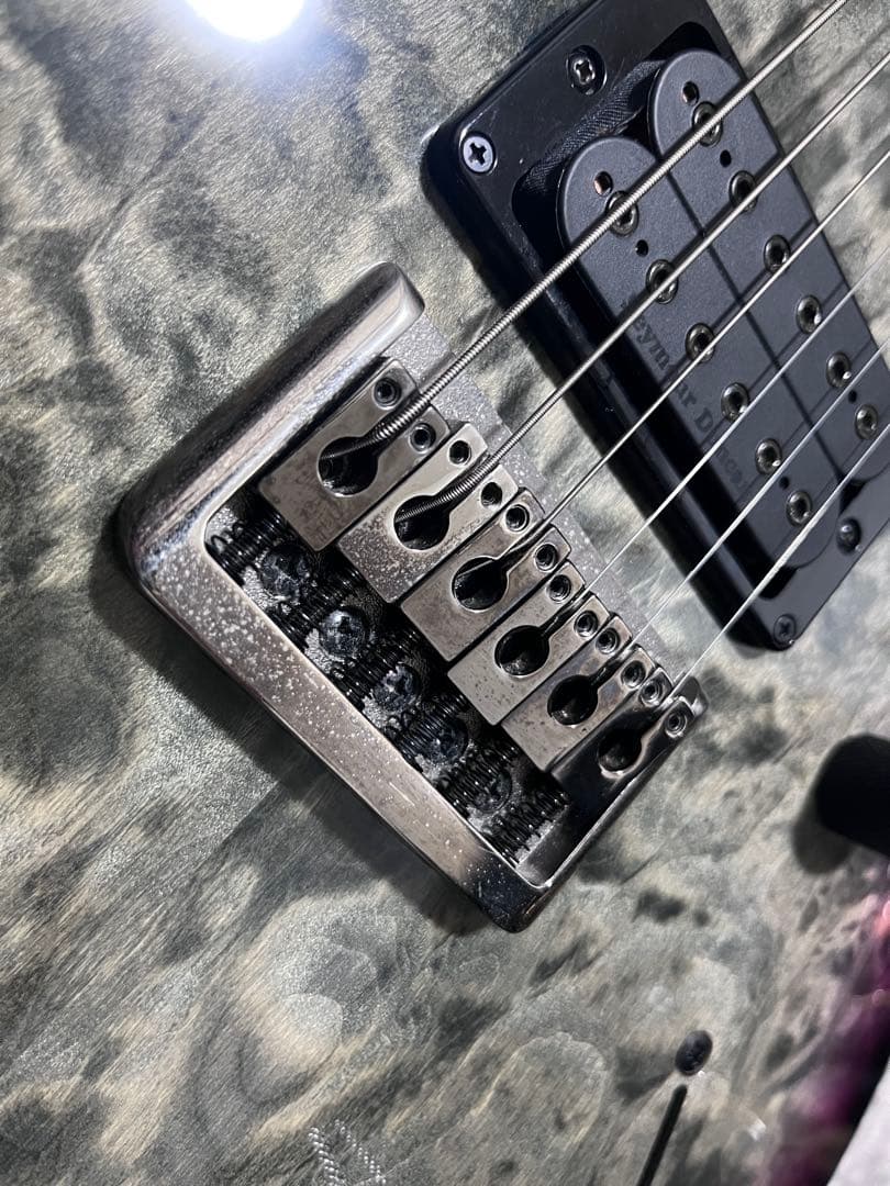 ギター PRS SE Mark Holcomb