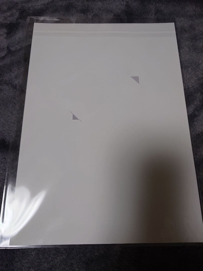 【大幅値下げ】川瀬晃選手ジャージーカード　証明書付き