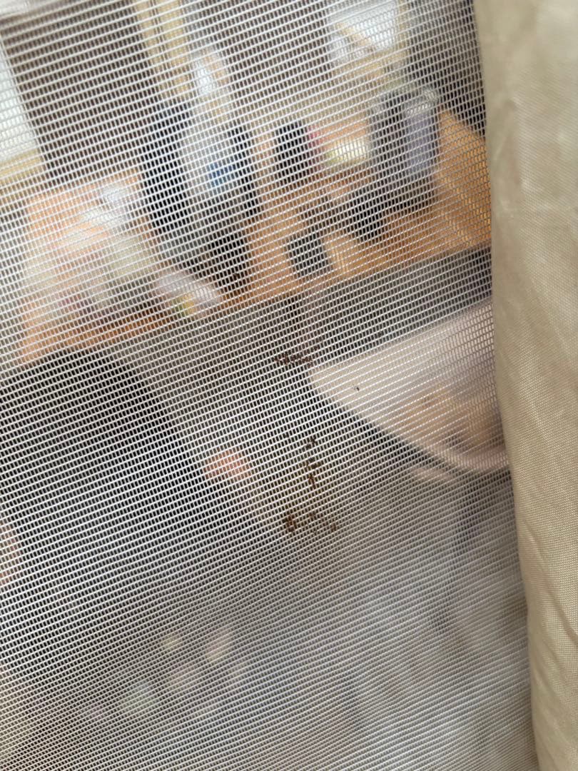 カマボコテント3M 付属セット　カマザシキ　カマシールド