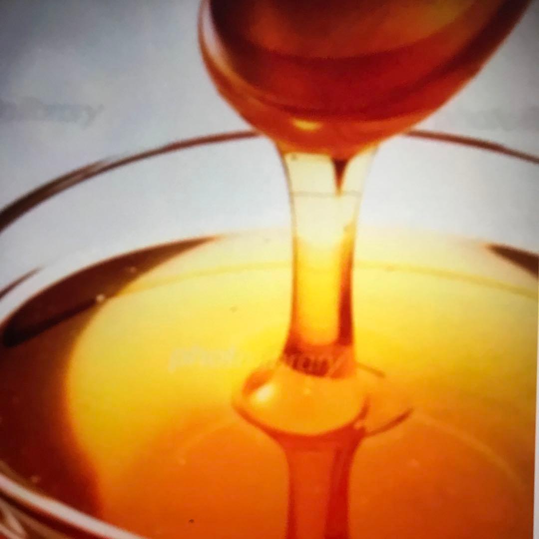 ハチミツ 日本蜜蜂のはちみつ 非加熱無添加 純粋生のハチミツ　５６０g入り２本