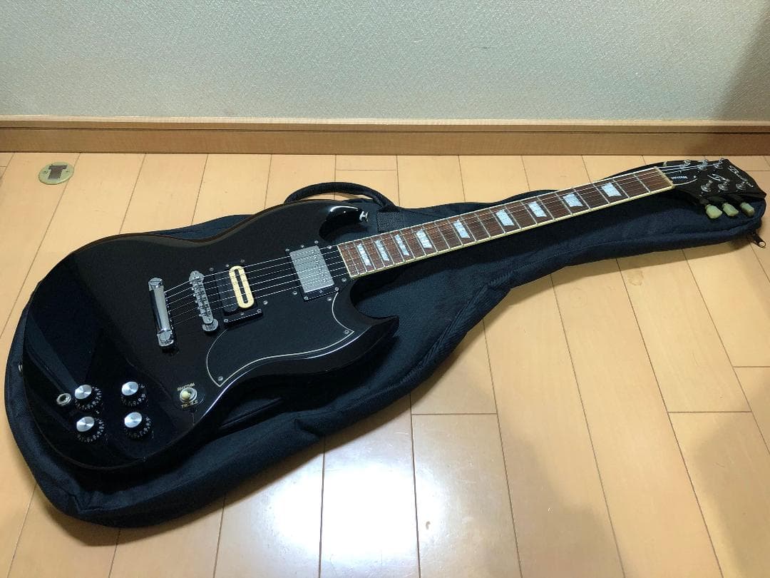 ギター Bacchus BSG-480?