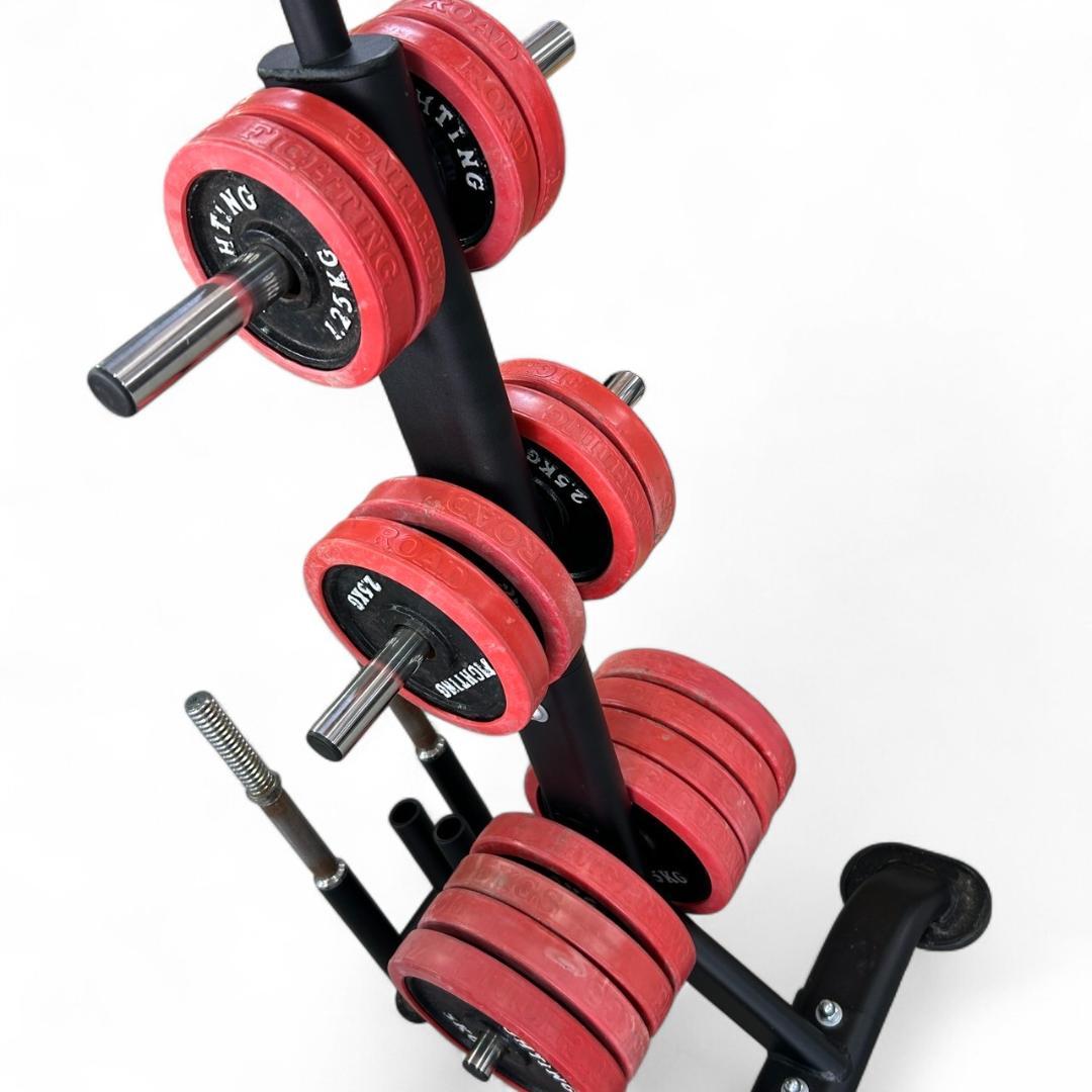 宅トレに！ダンベルプレート計55kg＋プレートラック＋トレーニングベンチ