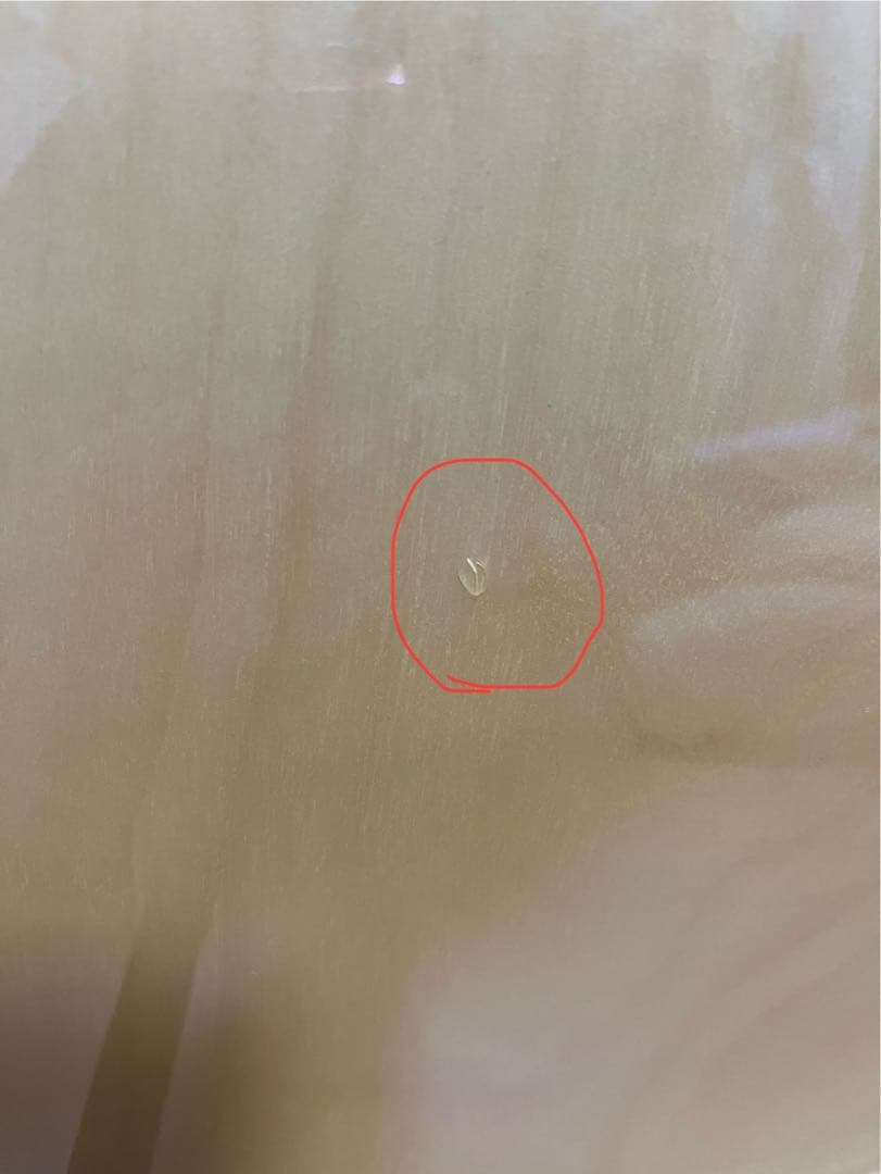 Epiphone ES-335 PRO セミアコースティックギター