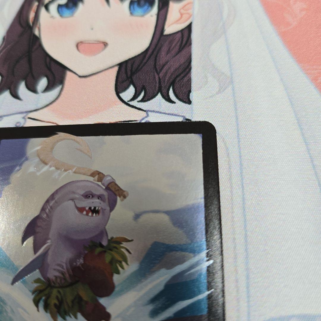 ロルカナ　サメマウイ　フォイル