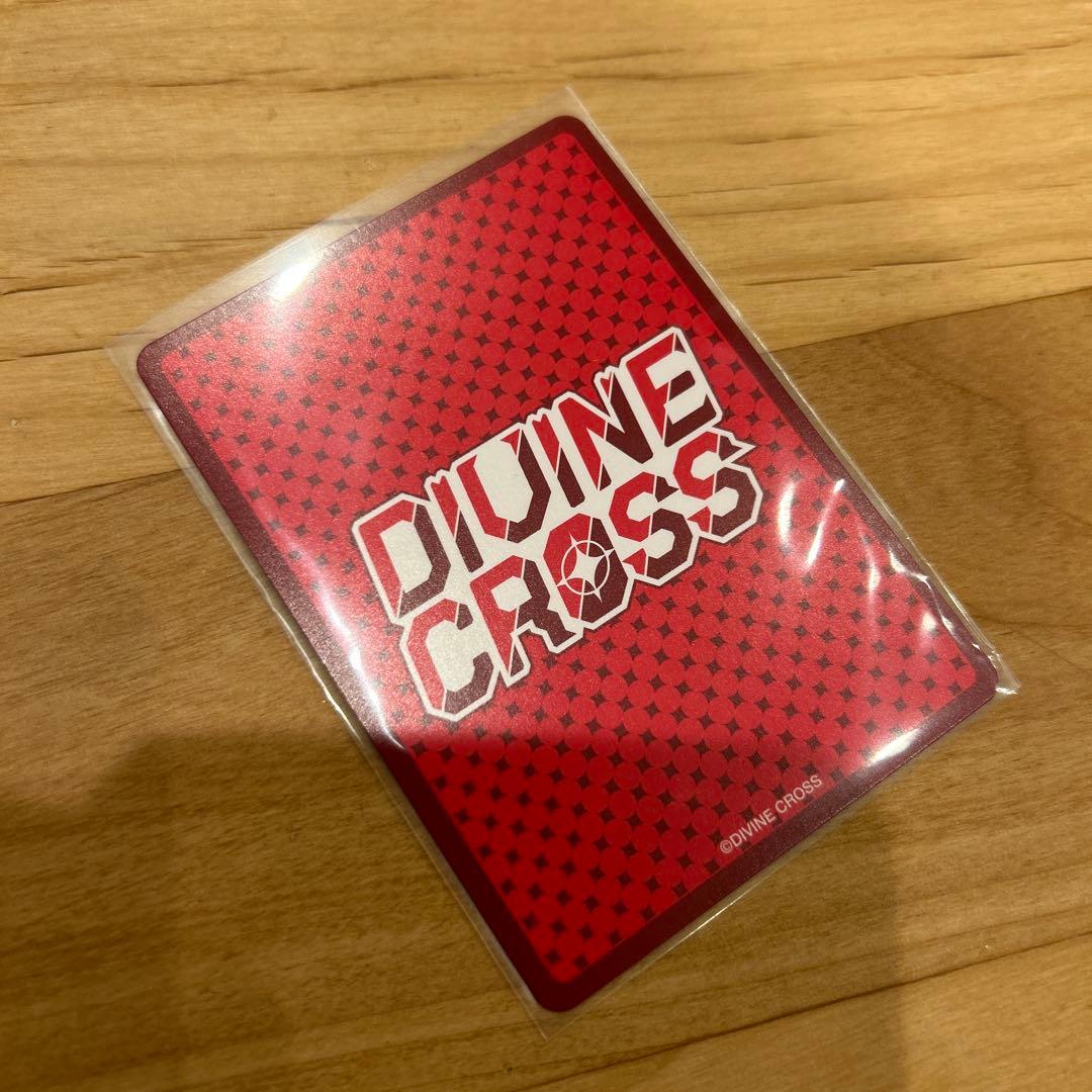 divine cross ディバインクロス SEC スタディ§ステディ2