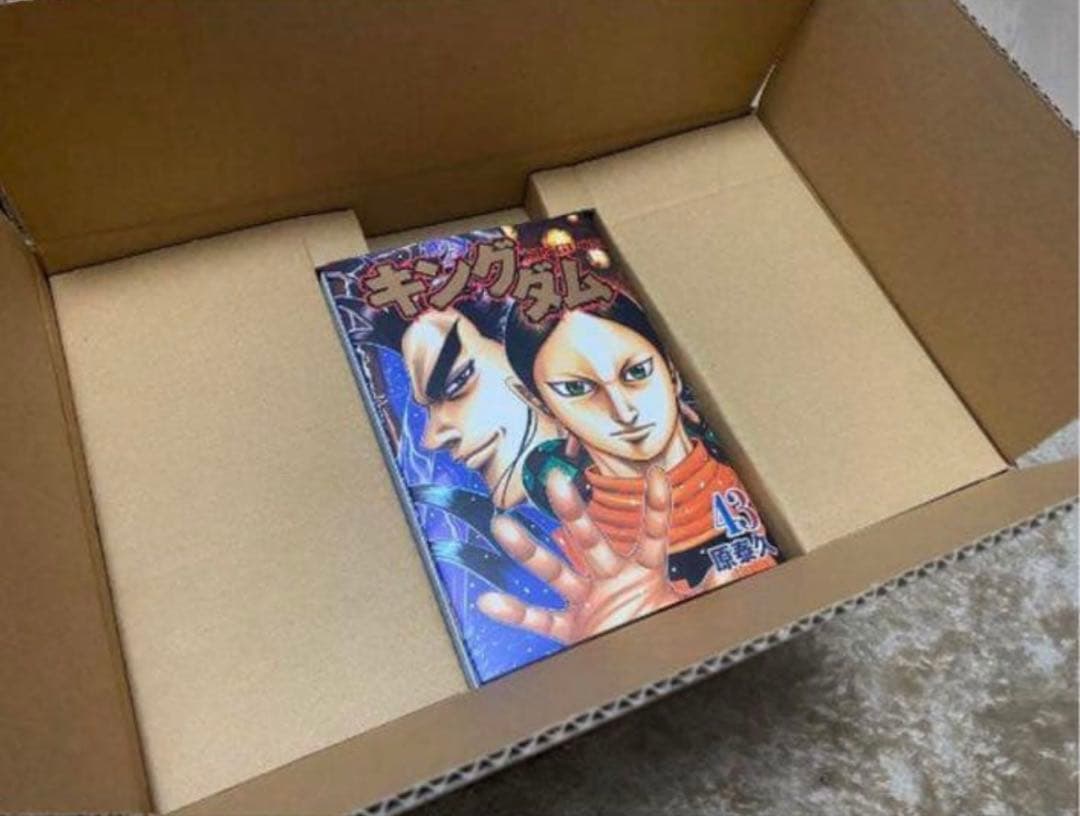 キングダムフィギュア 35体 ワーコレ 王騎・信・羌瘣 コンプリート