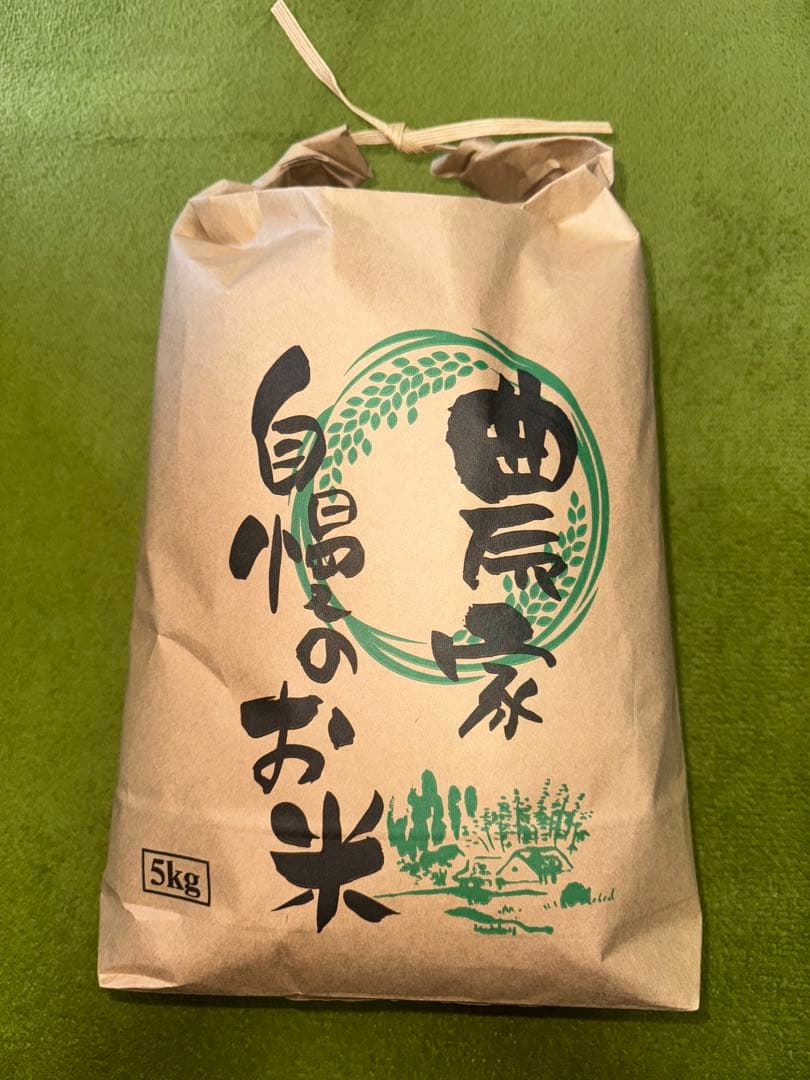 農家直送！　令和7年産コシヒカリ　精米10キロ　5キロ袋✖️2