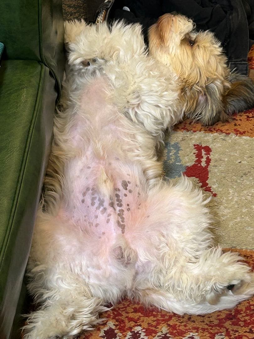 マーティン　000x1