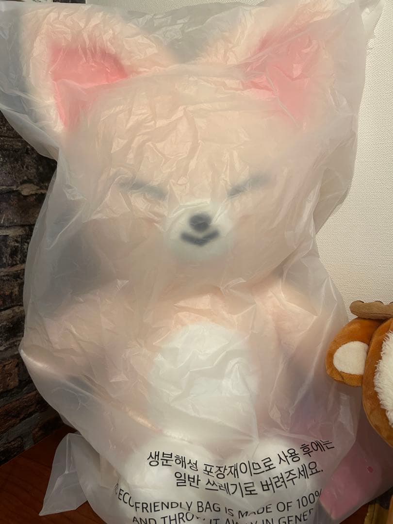 【しゃん】スキズ　テディ　フォクシニー　アイエン