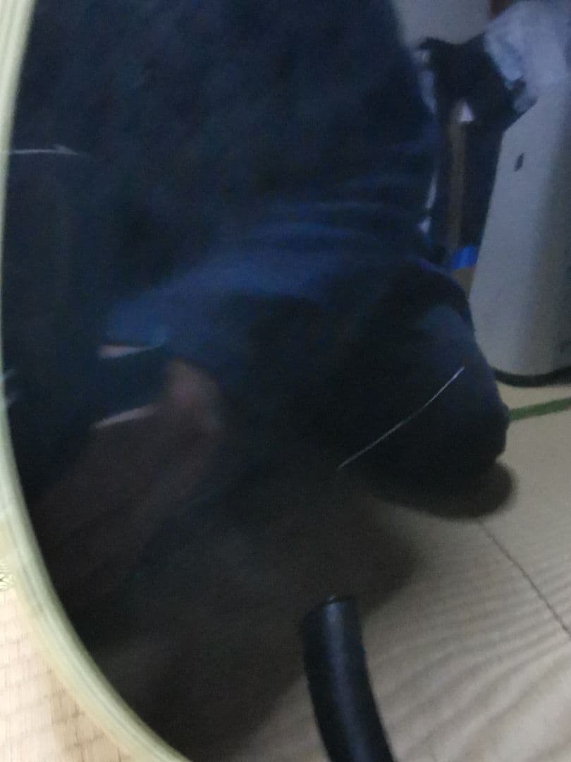 ★調整済★ Burny RLC-60 1980年代 VH-1ピックアップ