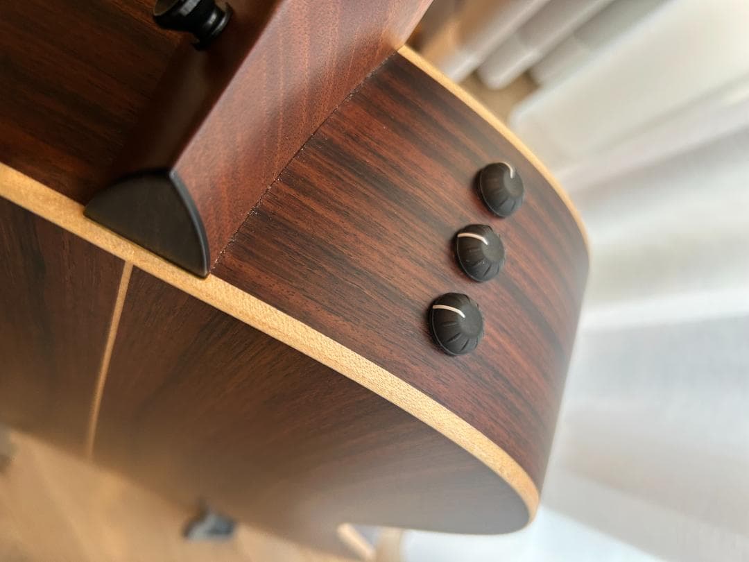 Taylor／Builder's Edition 816ce V-Class