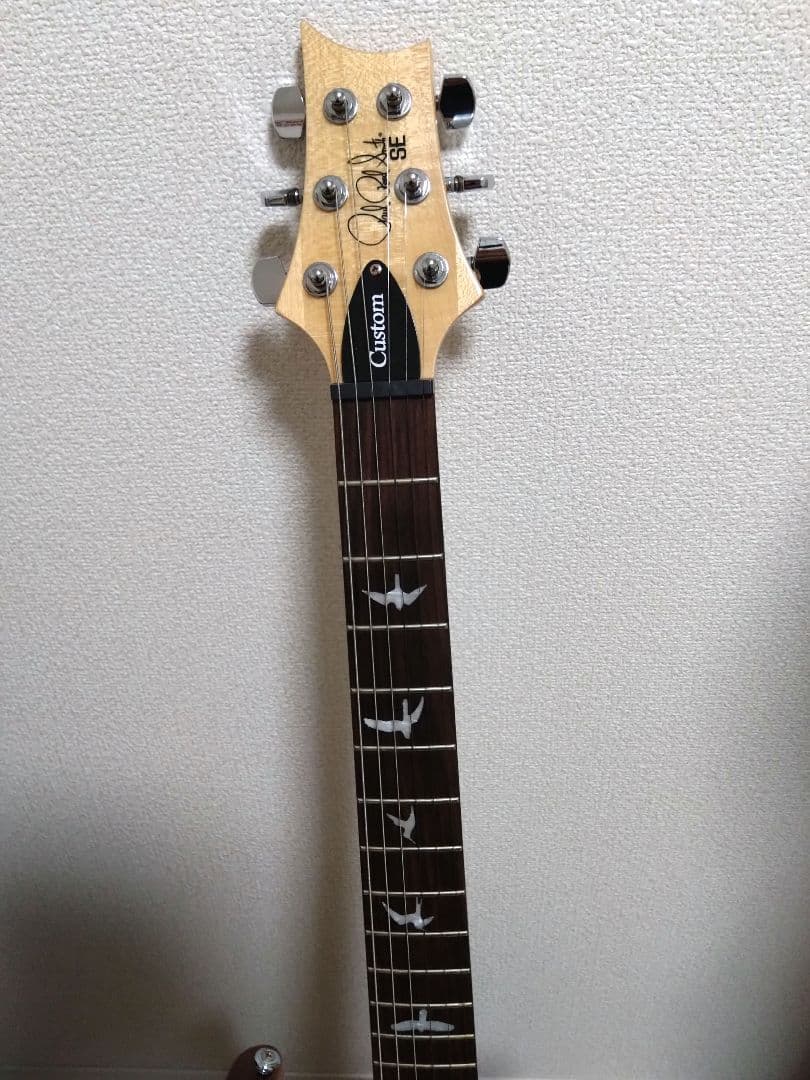 PRS custom24 SE グリーン ソフトケース付き