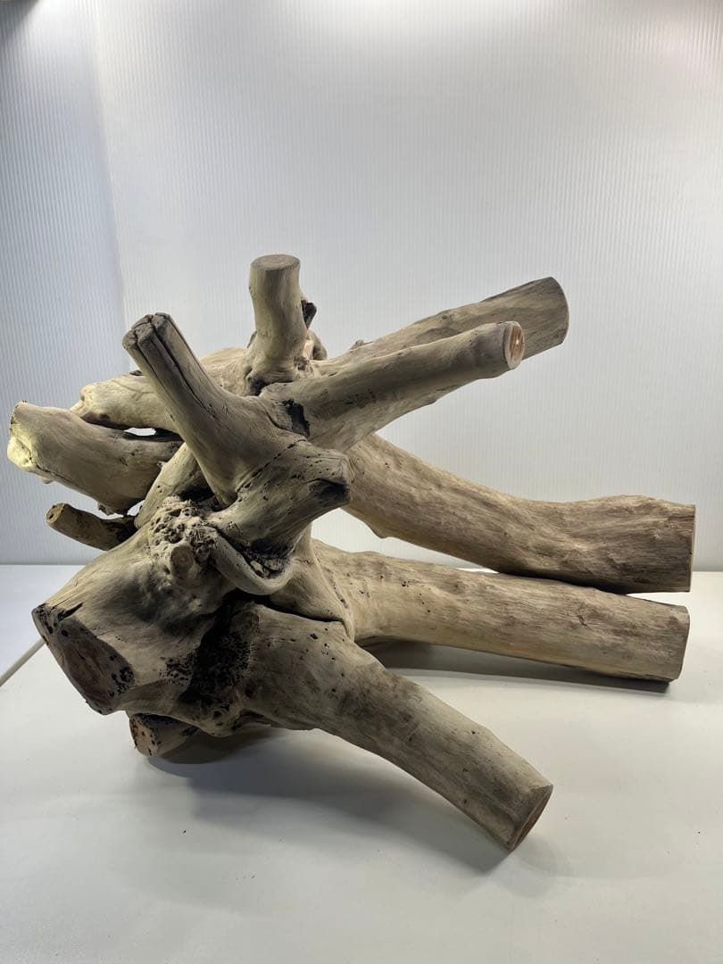 V64大型流木 アク抜き済み流木 爬虫類シェルター 登り木 インテリア 生け花