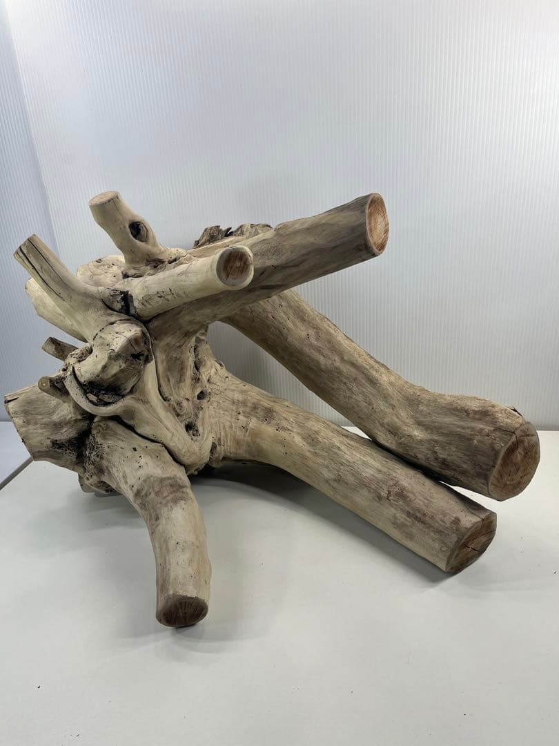 V64大型流木 アク抜き済み流木 爬虫類シェルター 登り木 インテリア 生け花