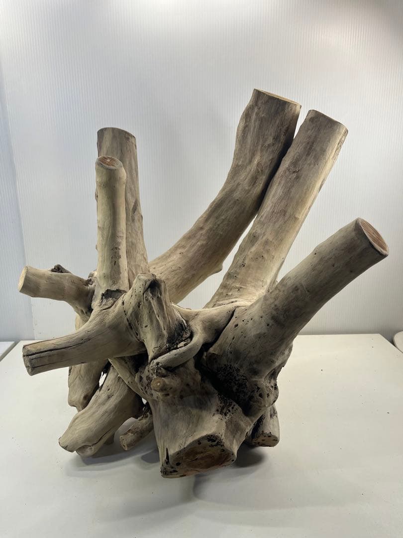 V64大型流木 アク抜き済み流木 爬虫類シェルター 登り木 インテリア 生け花