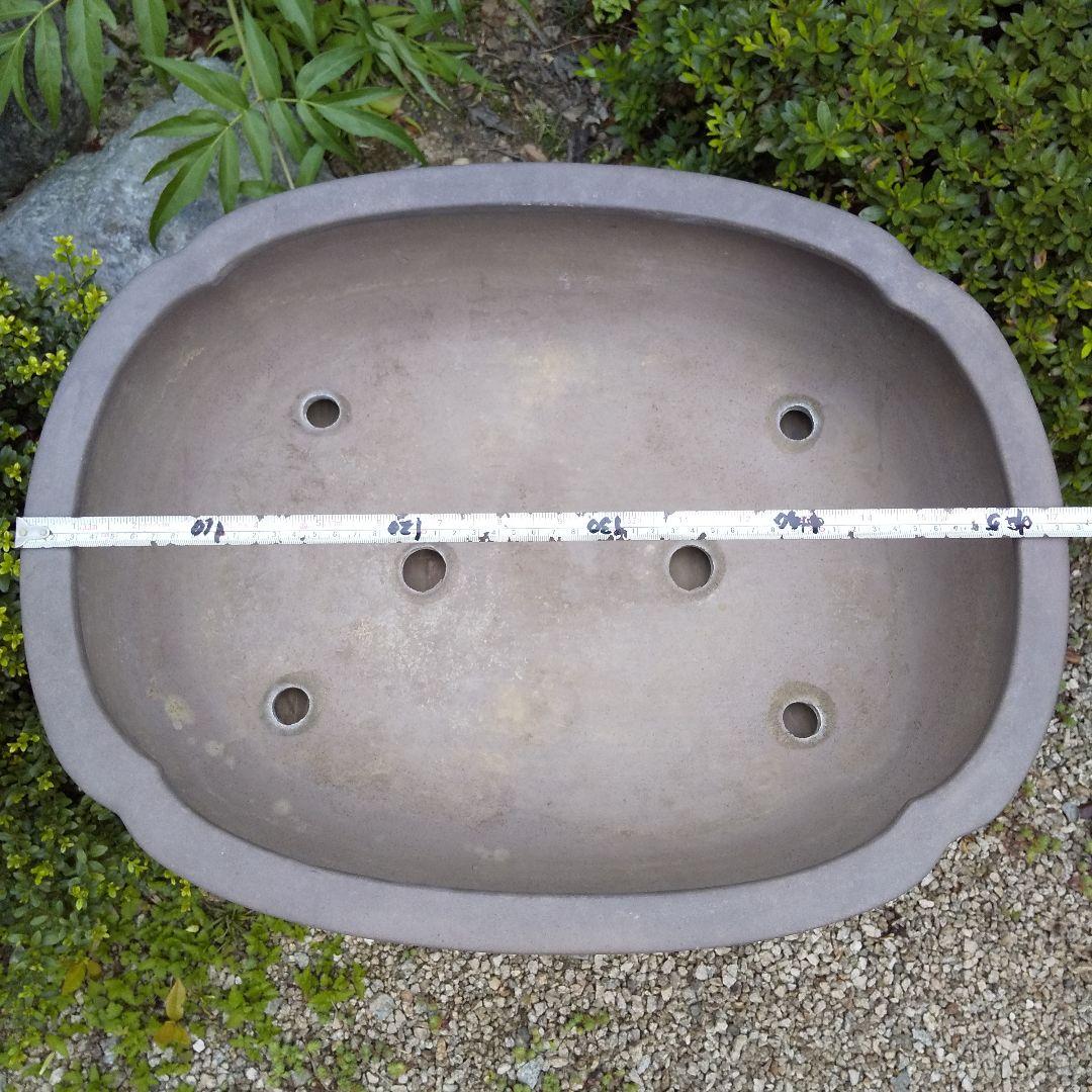 常滑焼 盆栽鉢 松柏類 大品『松下陶園』泥鉢 泥物 外縁 小判 隅入 袋形 切足