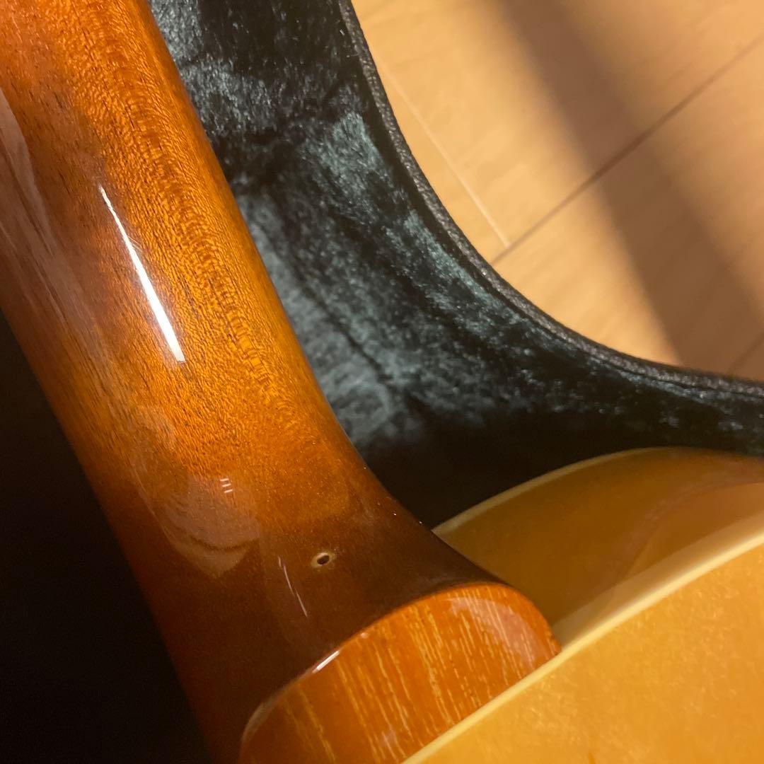 アーチトップトリビュート　AT105M フルアコ