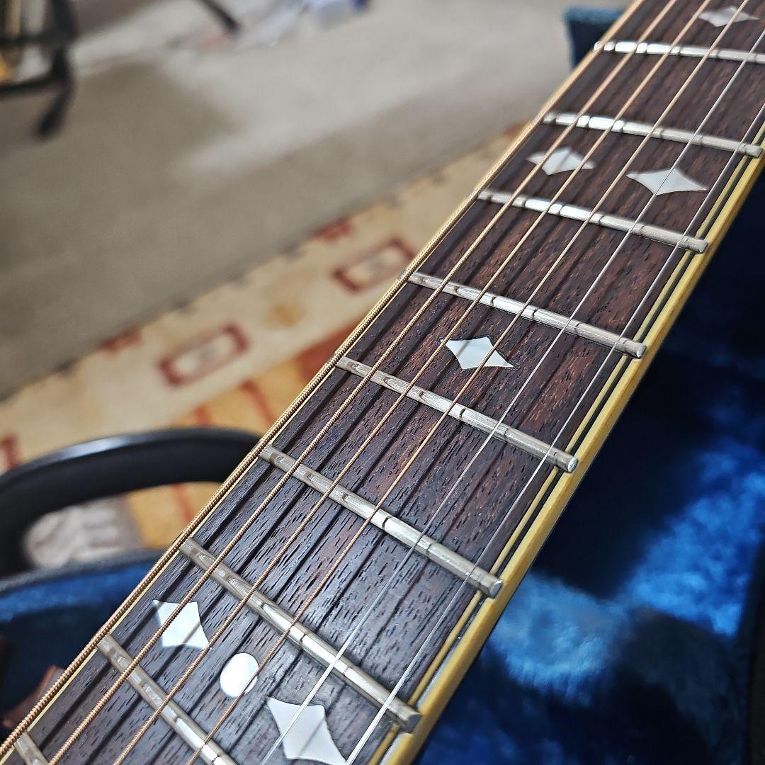 Aria.Elecod.FE-S80エレアコ珍品。