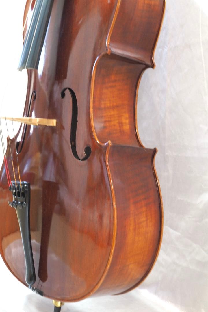 Carlo Giordano SC-240 チェロ カルロジョルダーノ