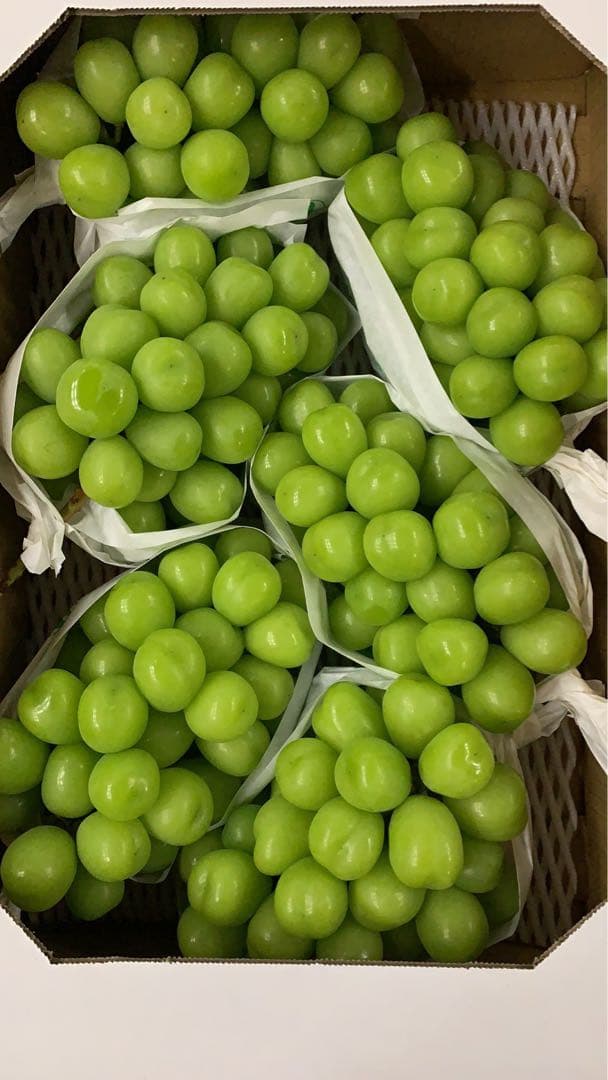 山梨県産　シャインマスカット　葡萄　ブトウ　ぶとう　箱込み5kg